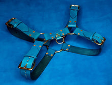 Load image into Gallery viewer, MULLET HARNESS