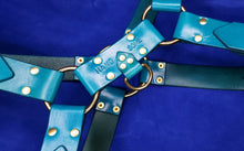 Load image into Gallery viewer, MULLET HARNESS