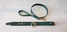Load image into Gallery viewer, LEATHER LEASH