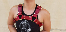 Load image into Gallery viewer, CLASSIC BULLDOG HARNESS
