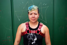 Load image into Gallery viewer, CLASSIC BULLDOG HARNESS