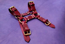 Load image into Gallery viewer, CLASSIC BULLDOG HARNESS