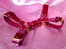 Load image into Gallery viewer, CLASSIC BULLDOG HARNESS