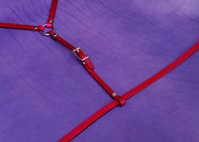 Load image into Gallery viewer, Y HARNESS