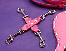 Load image into Gallery viewer, HOGTIE